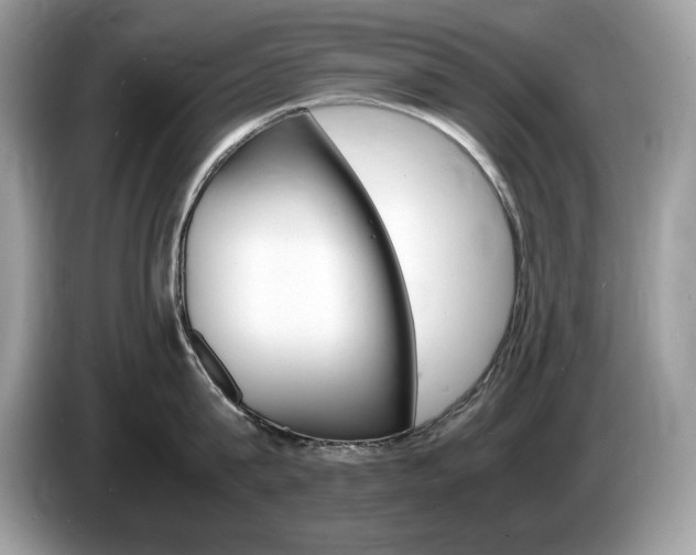 X0000087520815200704271139