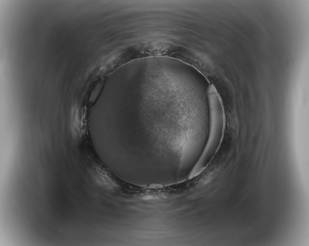 X0000087520818200704271139