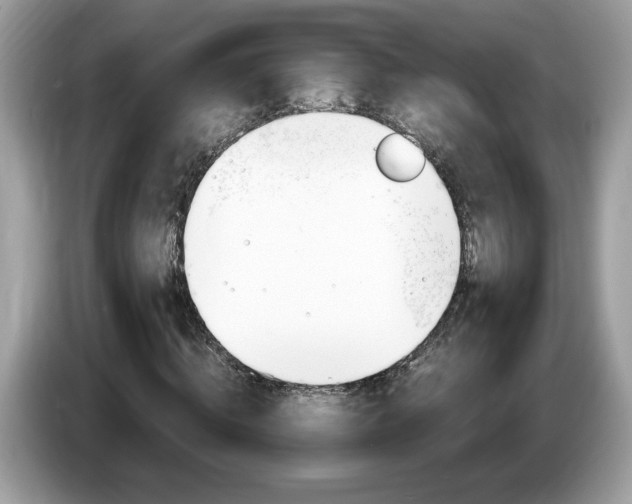 X0000087520820200704271139