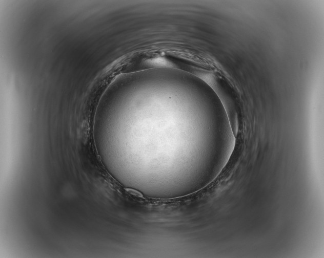 X0000087520821200704271139
