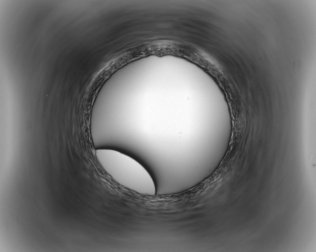 X0000087520823200704271139
