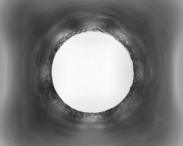 X0000087520824200704271139