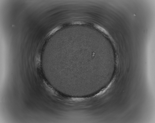 X0000087520825200704271139