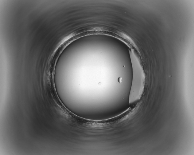 X0000087520827200704271139