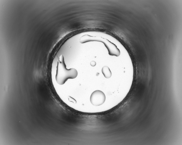 X0000087520828200704271139