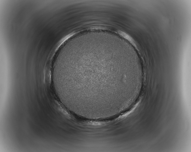 X0000087520829200704271139