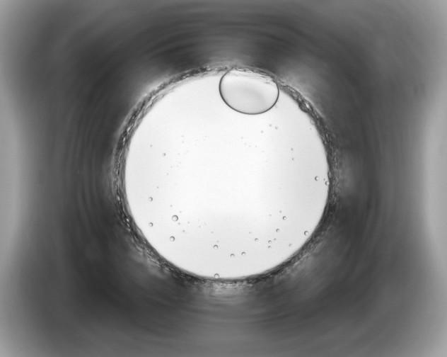 X0000087520832200704271139