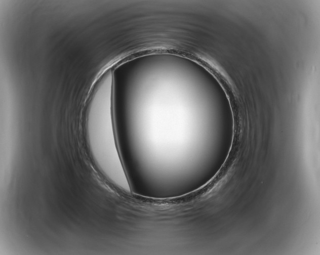 X0000087520834200704271139