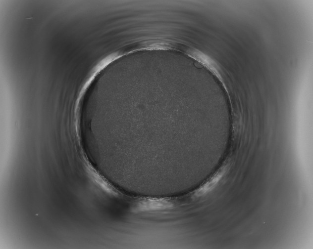 X0000087520835200704271139
