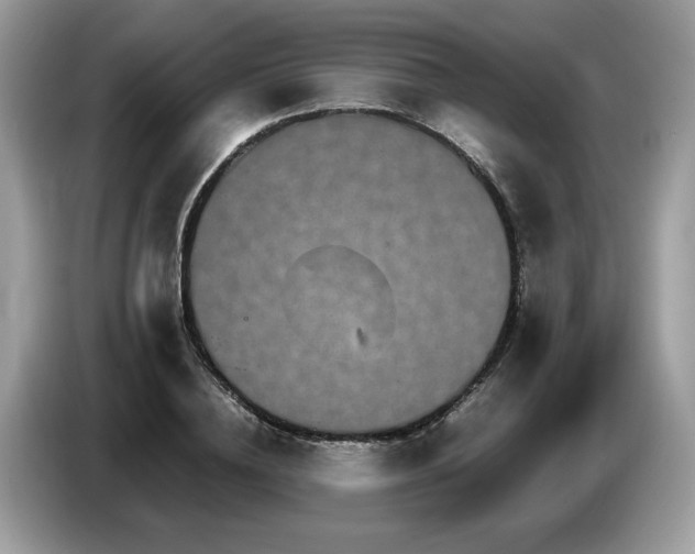 X0000087520836200704271139