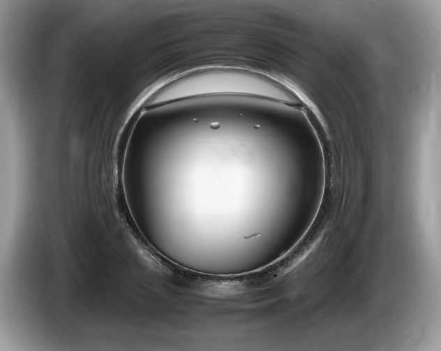 X0000087520837200704271139