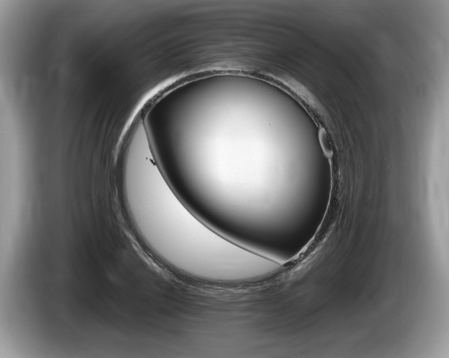 X0000087520838200704271139