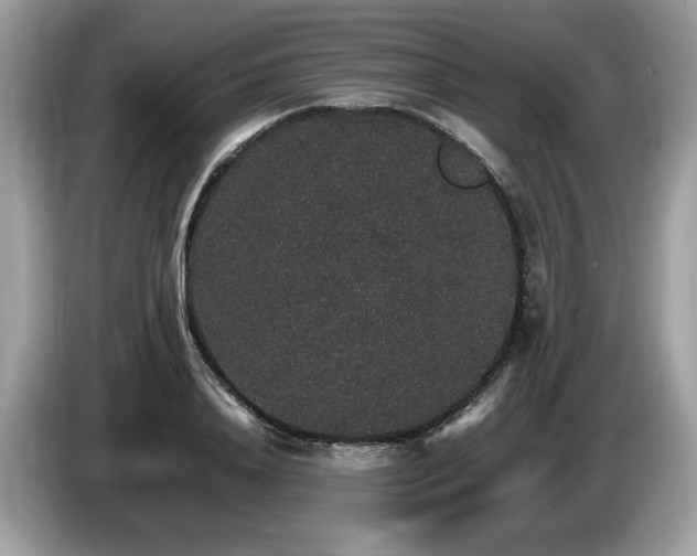 X0000087520840200704271139