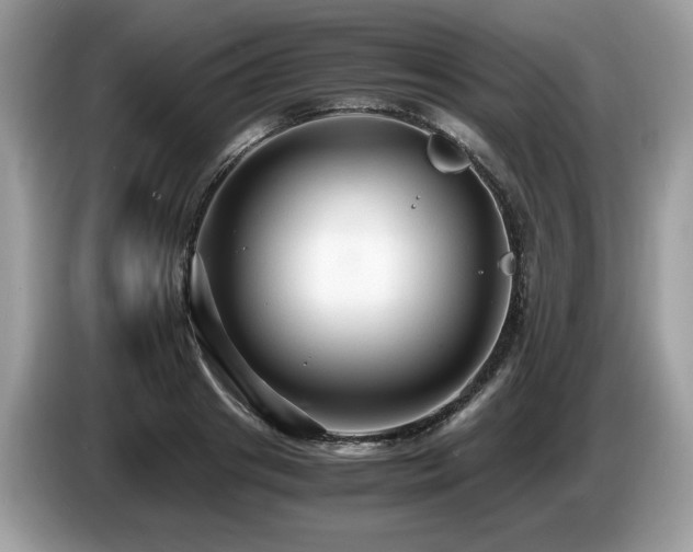 X0000087520841200704271139