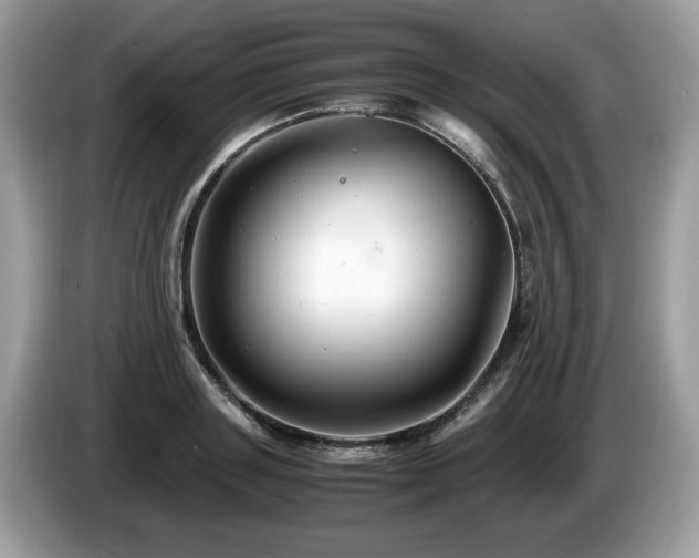 X0000087520843200704271139