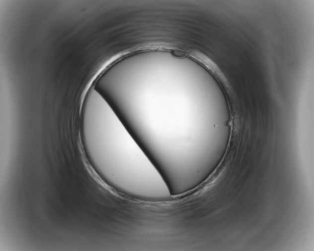 X0000087520844200704271139