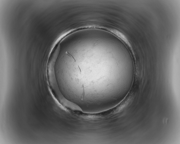 X0000087520847200704271139