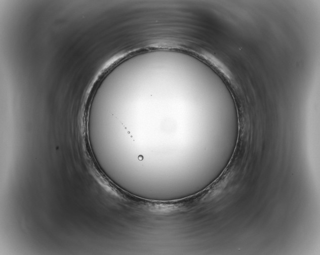 X0000087520848200704271139