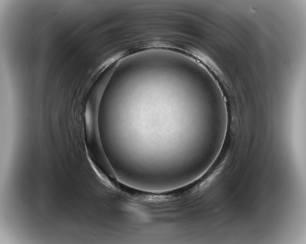X0000087520849200704271139