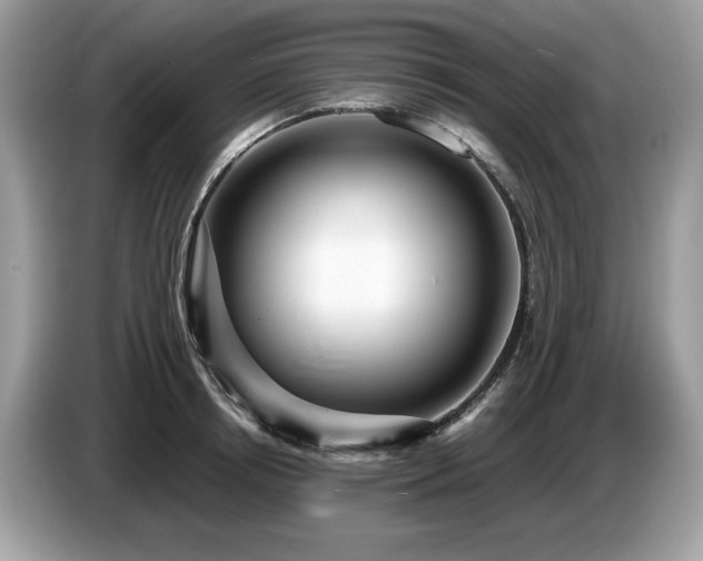 X0000087520850200704271139
