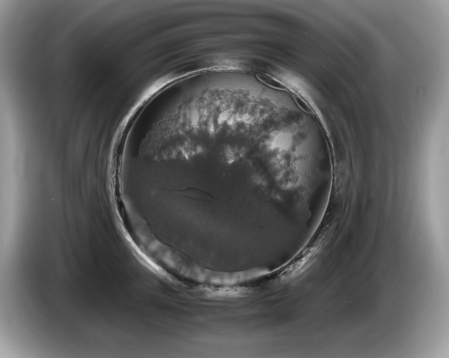 X0000087520851200704271139