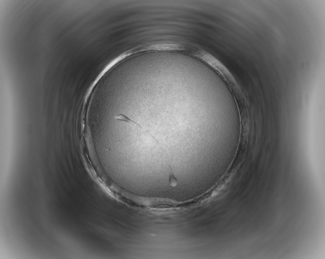 X0000087520852200704271139