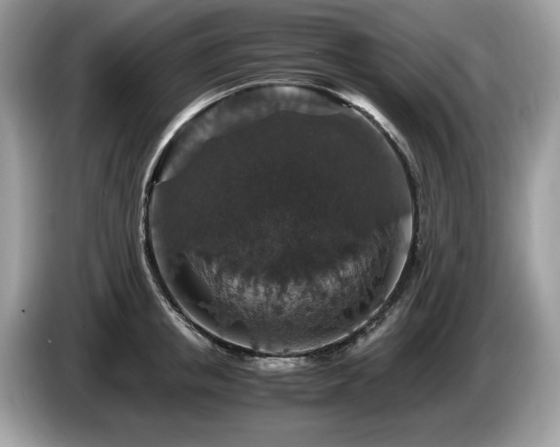 X0000087520853200704271139