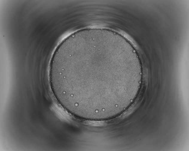 X0000087520856200704271139