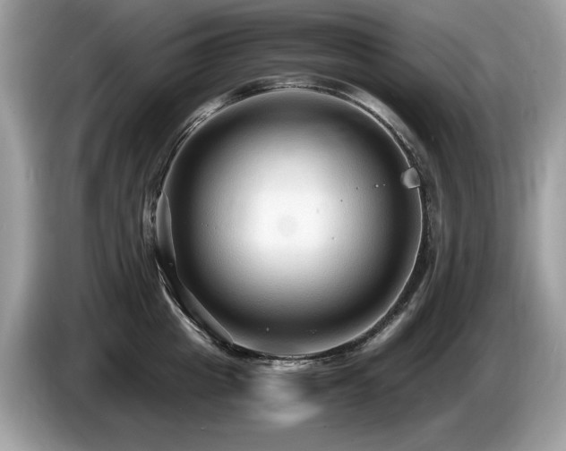 X0000087520857200704271139