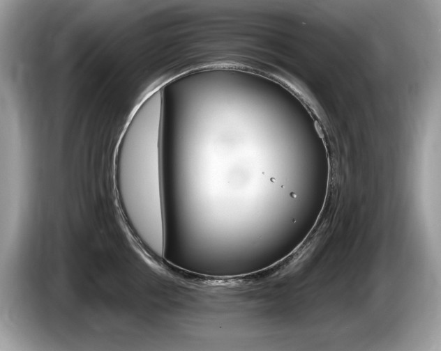 X0000087520858200704271139