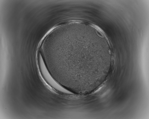 X0000087520859200704271139