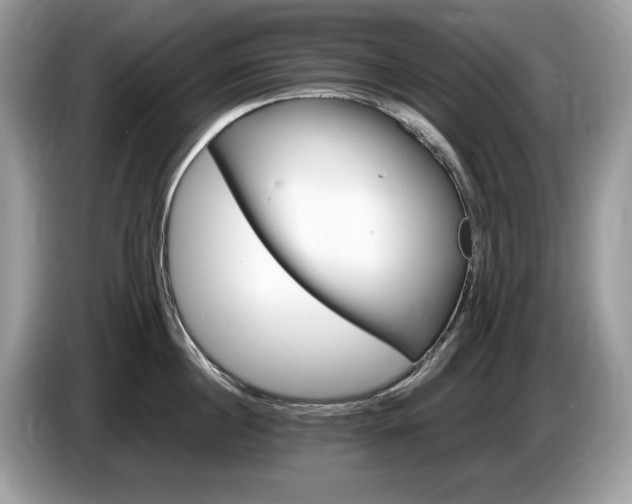 X0000087520860200704271139