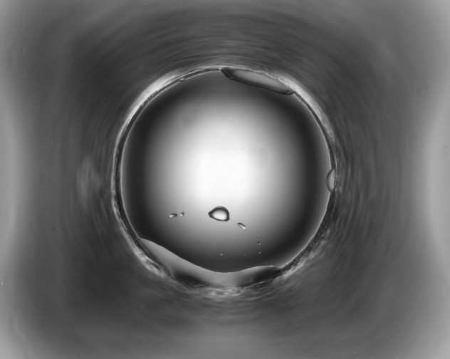 X0000087520861200704271139