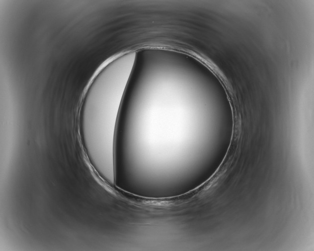 X0000087520862200704271139
