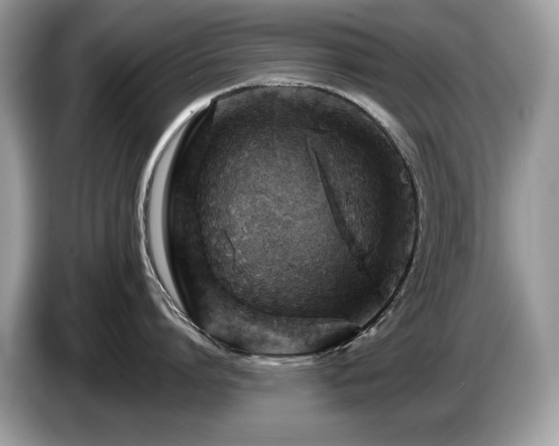 X0000087520864200704271139