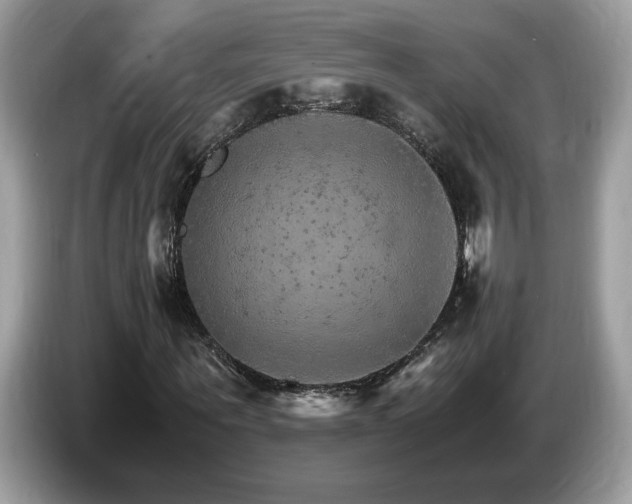 X0000087520867200704271138