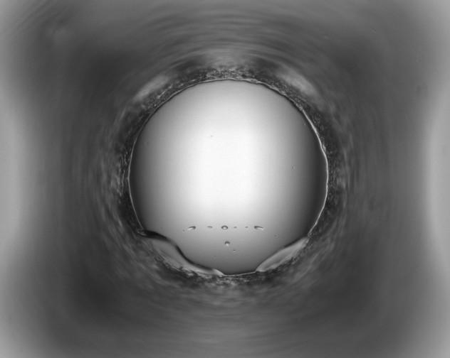 X0000087520869200704271138