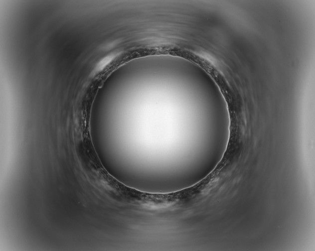 X0000087520871200704271138