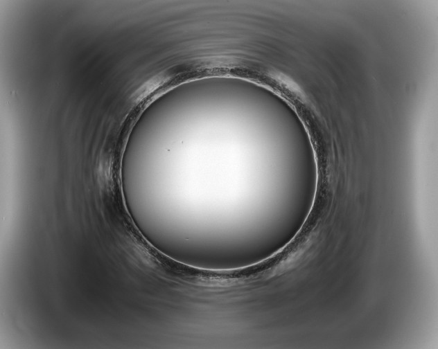 X0000087520873200704271138