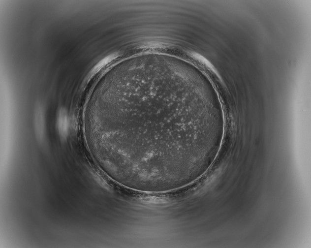X0000087520874200704271138