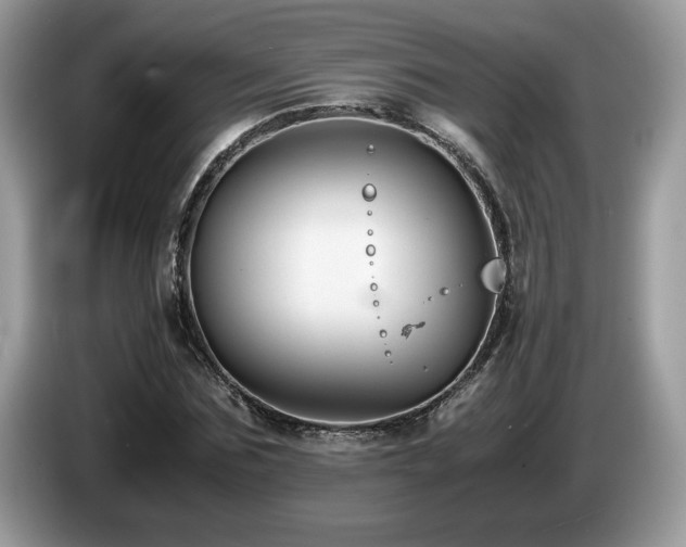 X0000087520875200704271138
