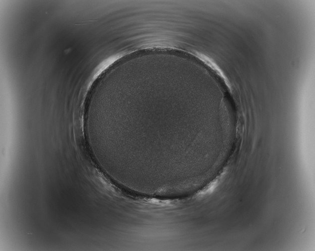 X0000087520877200704271138