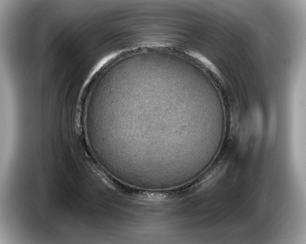 X0000087520878200704271138