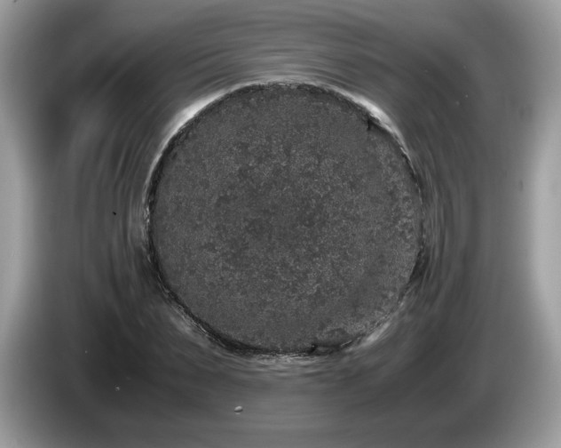 X0000087520879200704271138