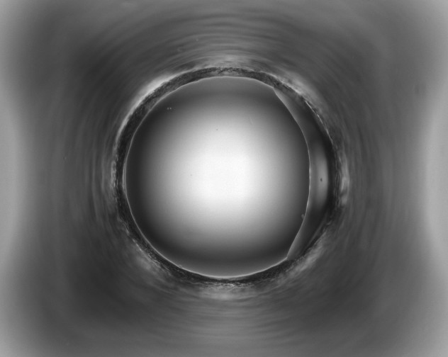 X0000087520880200704271138