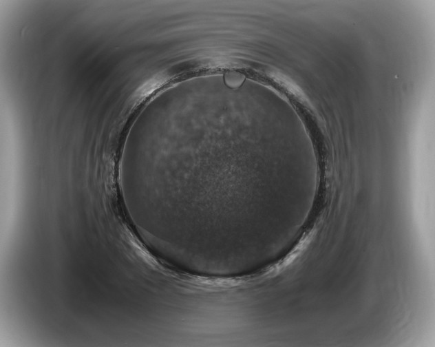 X0000087520881200704271138