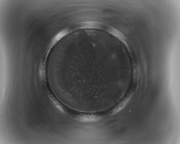 X0000087520882200704271138