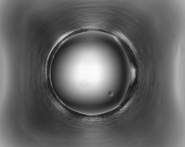 X0000087520884200704271138