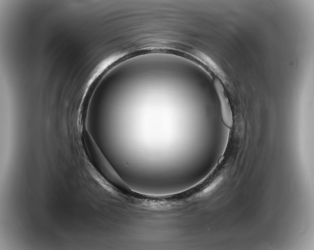 X0000087520885200704271138