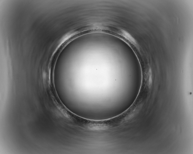 X0000087520886200704271138